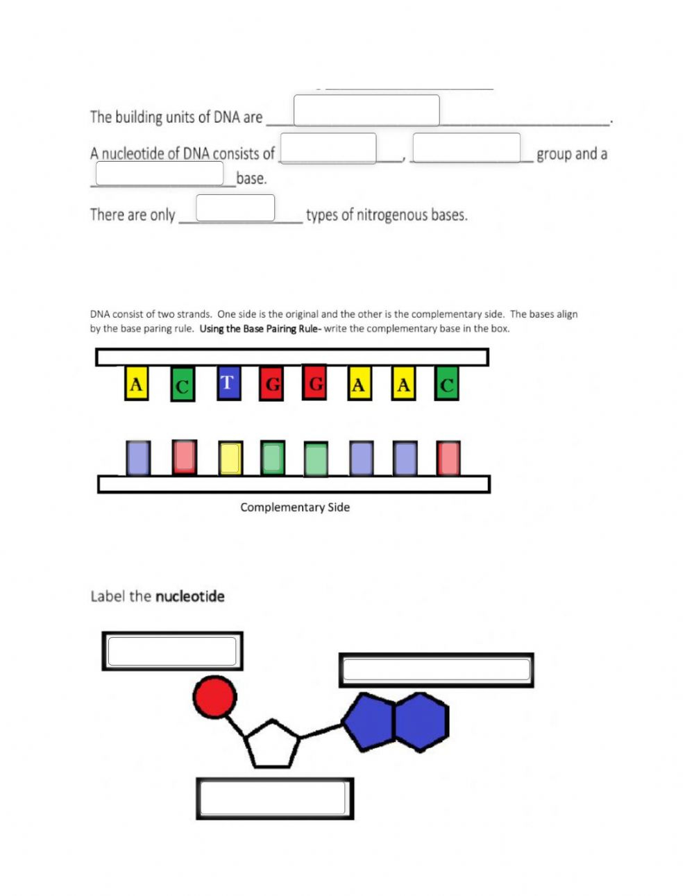 Ngss Life Science Dna Worksheet Answers Scienceworksheets Net