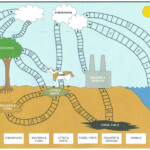 10 Earth Science Carbon Cycle Worksheet Carbon Cycle Cycle For Kids