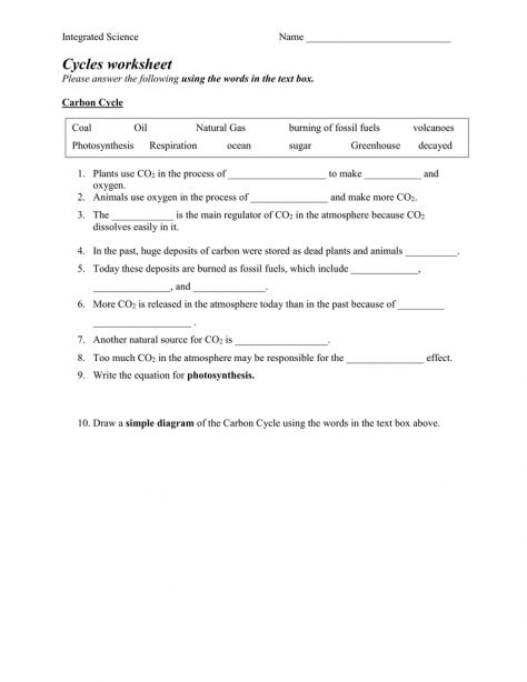 10 Integrated Science Carbon Cycle Worksheet Answers Carbon Cycle