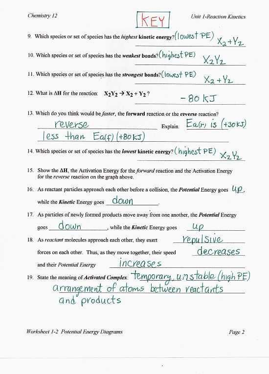 10th Grade Biology Worksheets With Answers Together With Thermal Energy 