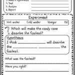 11 1St Grade Science Experiment Worksheet Scientific Method