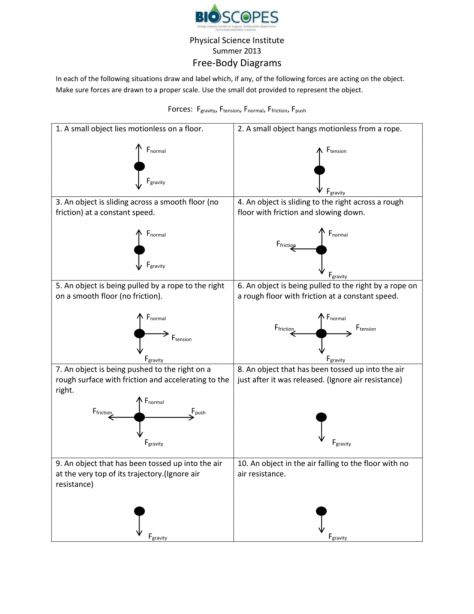 11 Force Diagram Worksheet Physical Science Body Diagram Physics