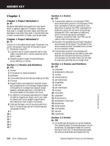 11 Prentice Hall Inc Science Worksheet Answers Science Science 