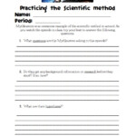 12 Best How Things Work Worksheets Images On Pinterest Worksheets