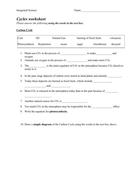 12 Integrated Science Cycles Worksheet Answer Key Carbon Cycle Plant