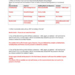 12 The Science Of Zombies Worksheet Answer Key In 2020 Science