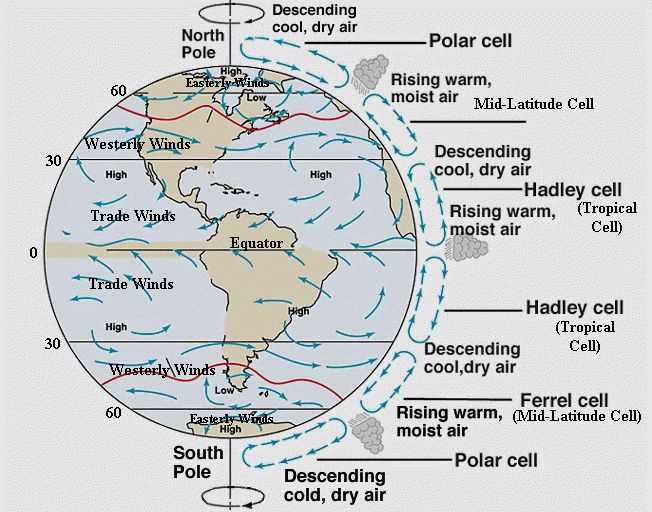 13 Best Atmospheric Circulation Weather Patterns Images On Pinterest