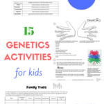 15 Genetics Activities For Kids Genetics Activities Biology For Kids