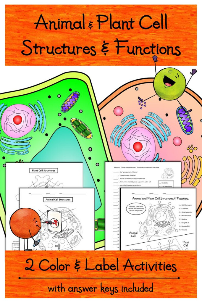 2 Animal Plant Cells Color Label Activities Worksheets Science 
