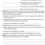20 7th Grade Science Worksheets Pdf Worksheet From Home