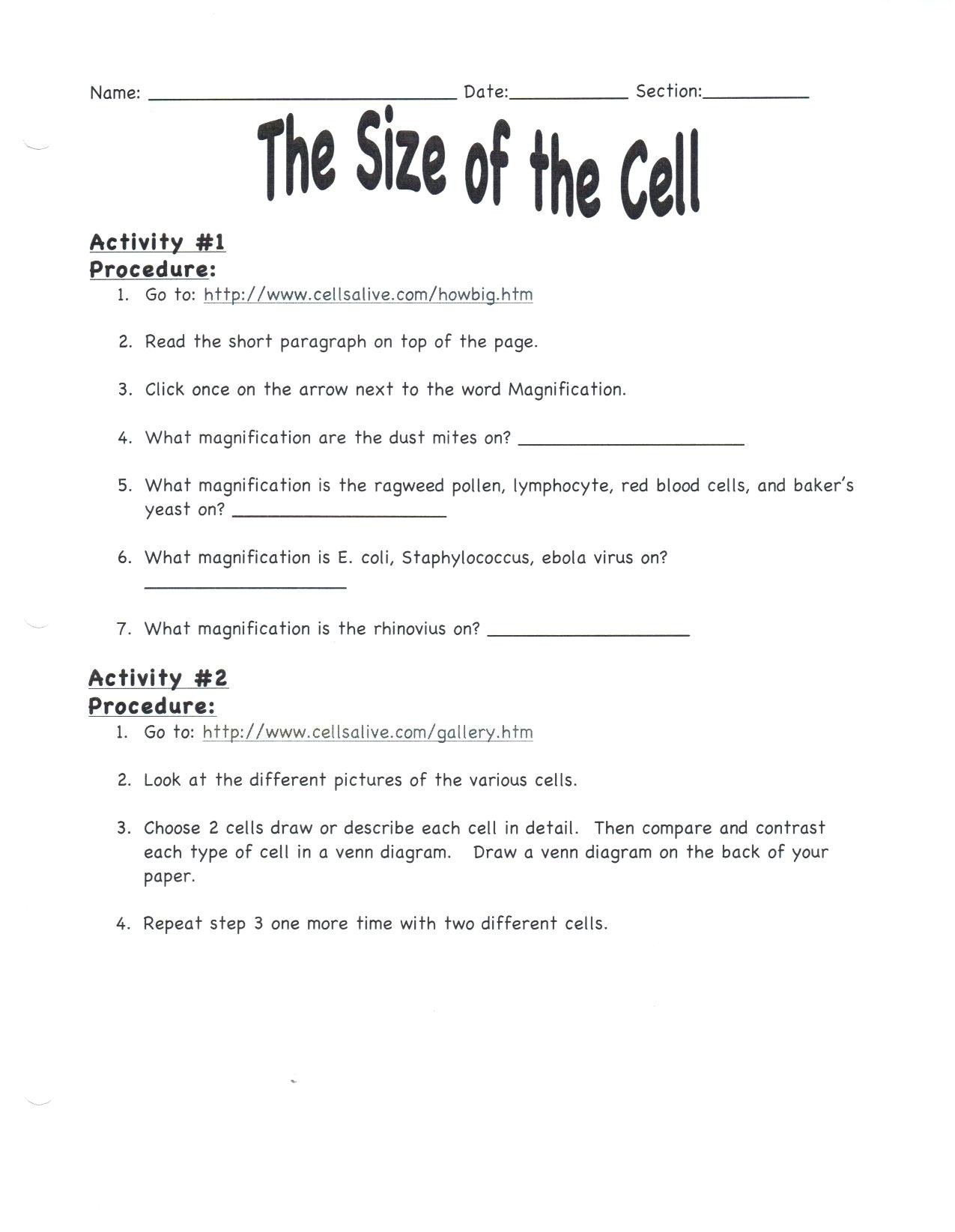 20 7th Grade Science Worksheets Worksheet From Home