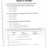 20 7th Grade Science Worksheets Worksheet From Home