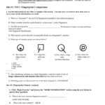 28 Fingerprint Basics Worksheet Answers Free Worksheet Spreadsheet