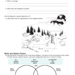 3 Review Worksheet