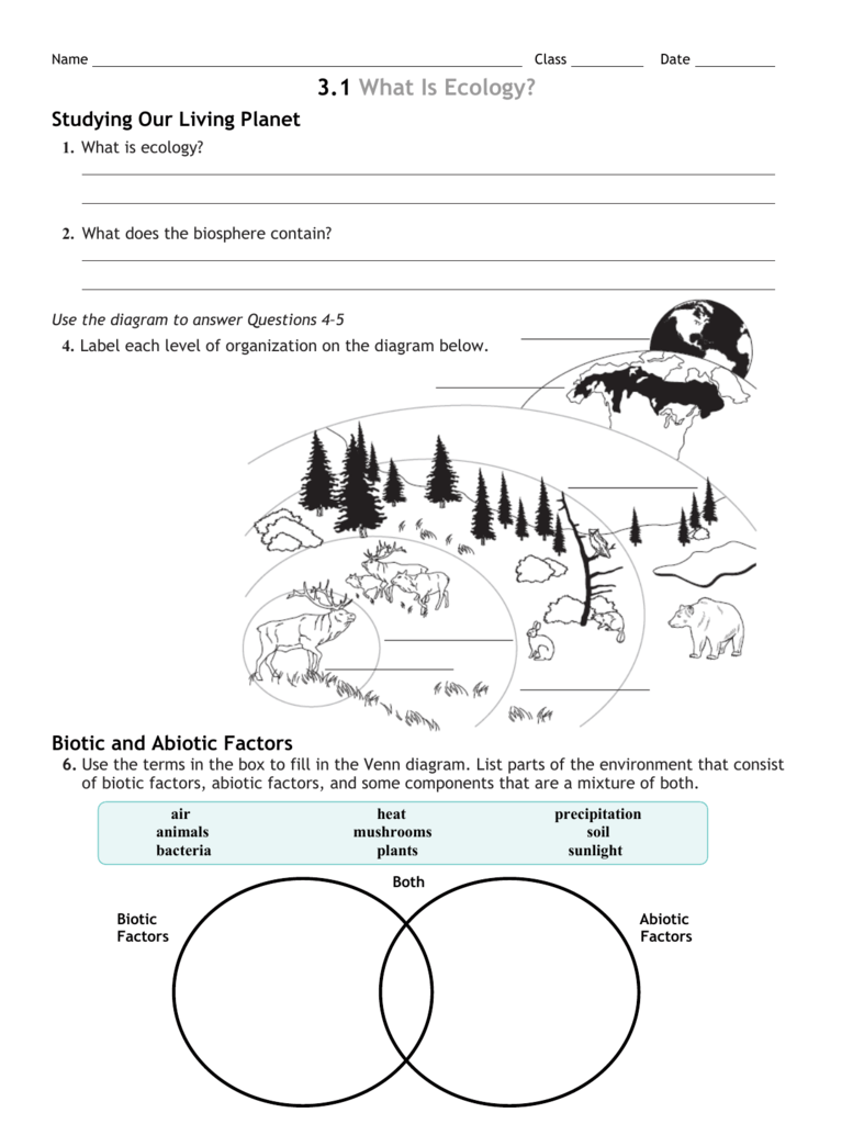 3 Review Worksheet