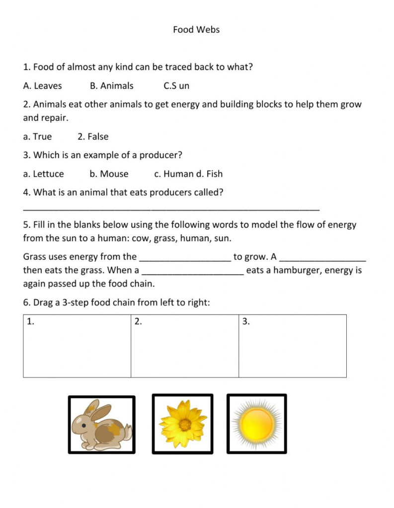 30 Bill Nye Food Web Worksheet