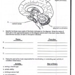 30 Bill Nye Magnetism Worksheet Answers Education Template