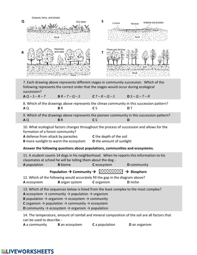 30 Ecological Succession Worksheet Answer Key Worksheet Information