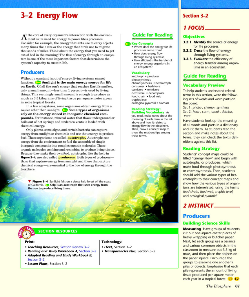 30 Energy Flow Worksheet Answers Education Template