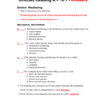 30 Science Skills Worksheet Answer Key Worksheet Information