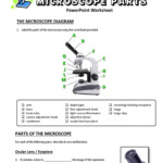 31 Parts Of A Microscope Worksheet Education Template