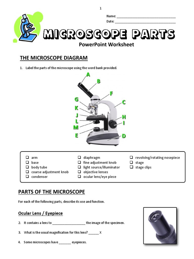 31 Parts Of A Microscope Worksheet Education Template