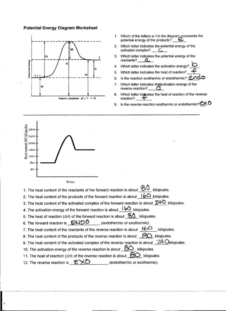 32 Introduction To Energy Worksheet Answers Worksheet Source 2021