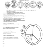 34 The Cell Cycle Worksheet Answers Worksheet Database Source 2020