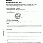 34 Unit 7 Worksheet 9 The Virus Answer Key Worksheet Project List