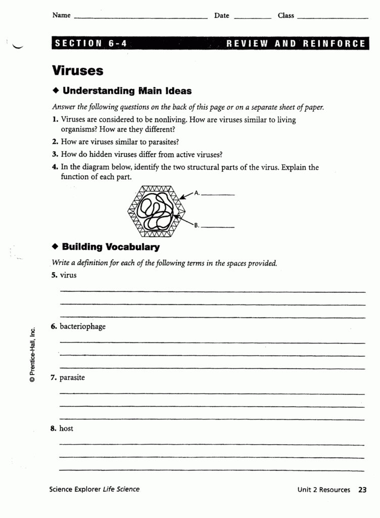 34 Unit 7 Worksheet 9 The Virus Answer Key Worksheet Project List