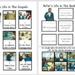 35 Jesus Life Timeline Worksheet Combining Like Terms Worksheet