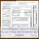 37 Dna And Replication Worksheet Answers