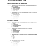 38 Holt Mcdougal Earth Science Worksheet Answers Combining Like Terms