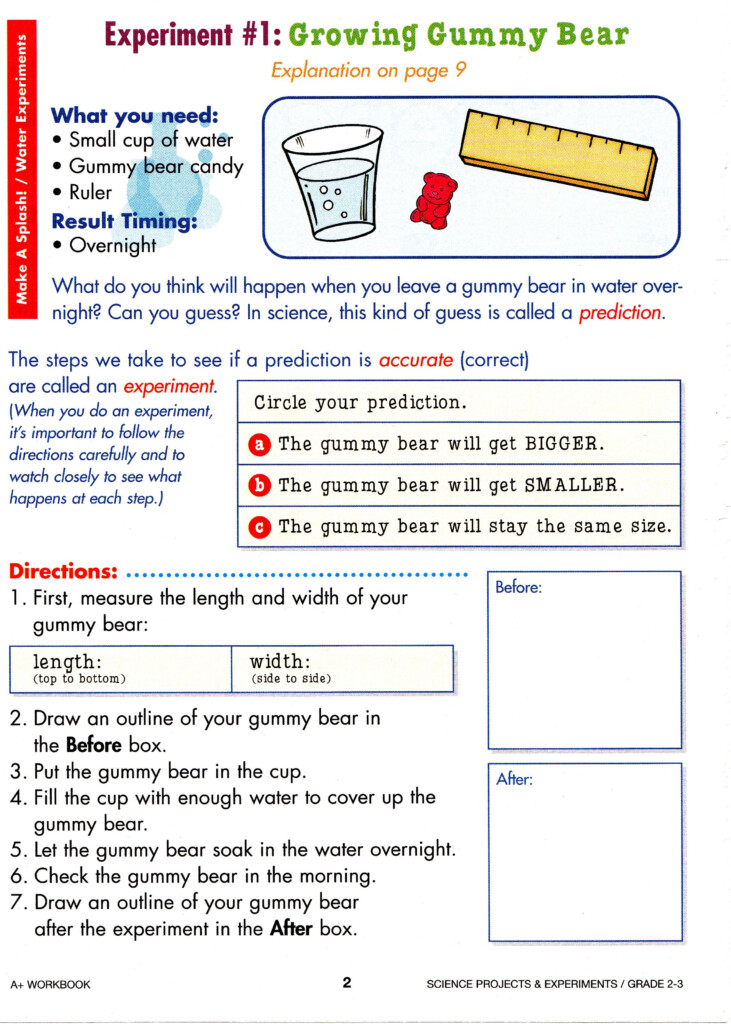 3rd Grade Science Growing Gummy Bear Could Coincide This Lesson With 