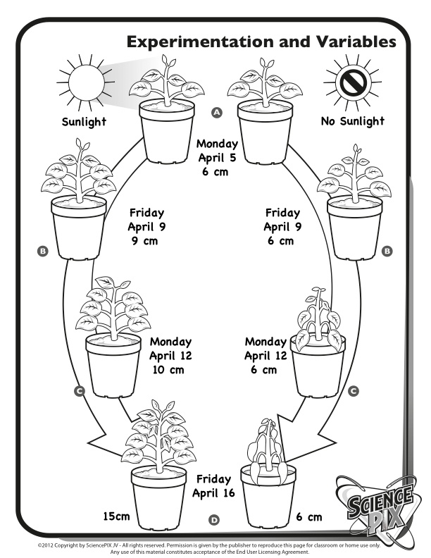 45 Best Science Printables Worksheets Images On Pinterest