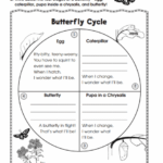 4th Grade Plant Life Cycle Worksheets