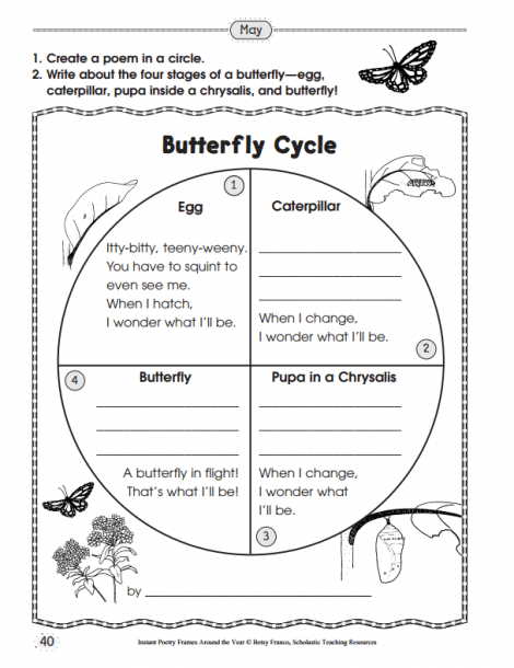 4th Grade Plant Life Cycle Worksheets