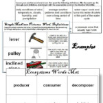 4th Grade Science Force And Motion Worksheets Force And Motion