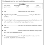 4th Grade Science Worksheets Best Coloring Pages For Kids