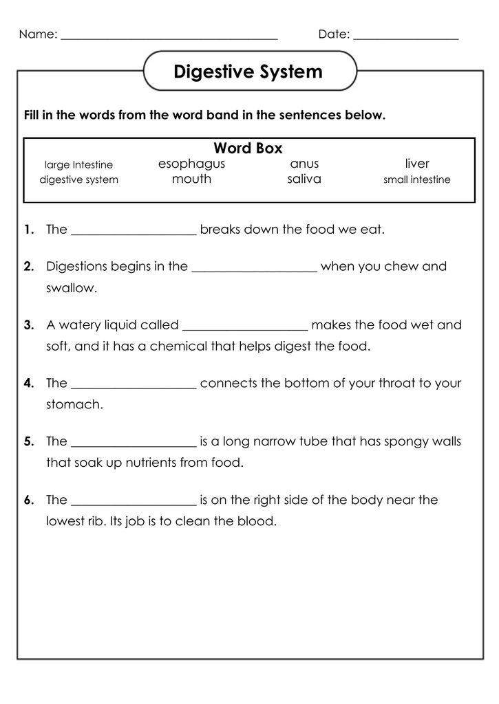 4th Grade Science Worksheets Best Coloring Pages For Kids Science 