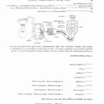 50 Energy Transformation Worksheet Answer Key In 2020 Energy