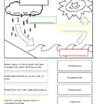 5th Grade Science Water Cycle Life In 2020 Water Cycle Worksheet