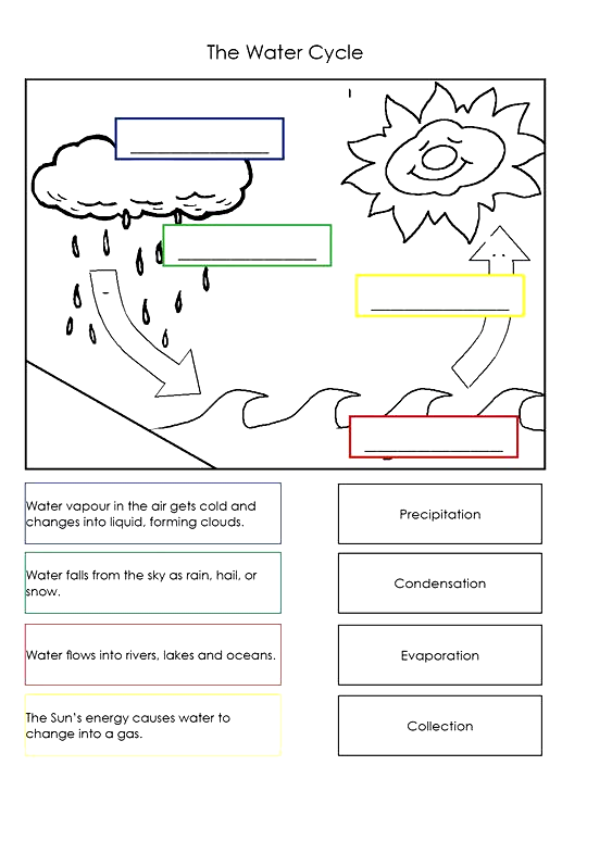 5th Grade Science Water Cycle Life In 2020 Water Cycle Worksheet 