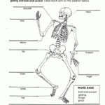 5th Grade Science Worksheets On The Human Body Save Human Body