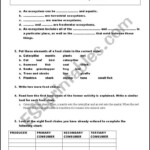 6th Grade Food Web Worksheet Middle School Worksheet Resume