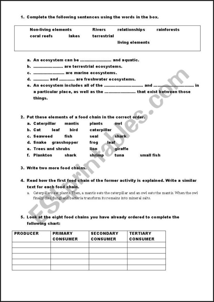 6th Grade Food Web Worksheet Middle School Worksheet Resume 