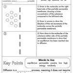 7 3 Cell Transport Worksheet Answers Gcse Biology Diffusion Osmosis And