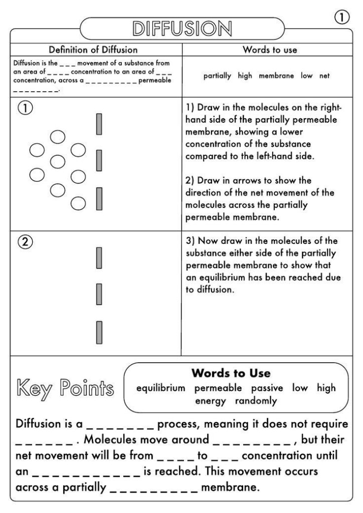 7 3 Cell Transport Worksheet Answers Gcse Biology Diffusion Osmosis And 