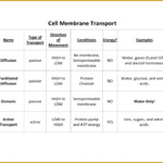 7 Osmosis Worksheet FabTemplatez