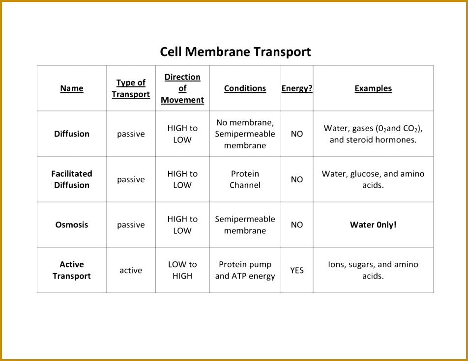 7 Osmosis Worksheet FabTemplatez